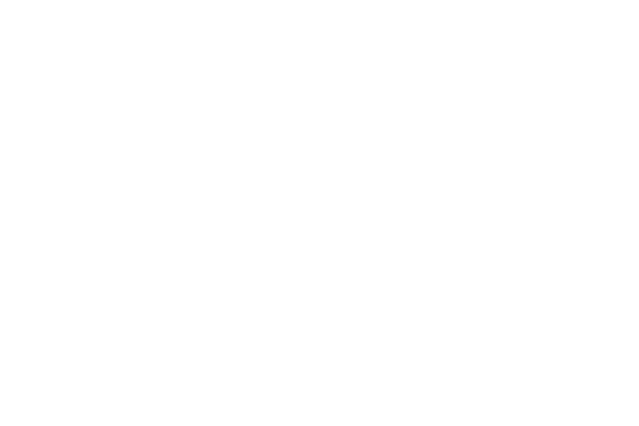 Logo – BBC Worldwide
