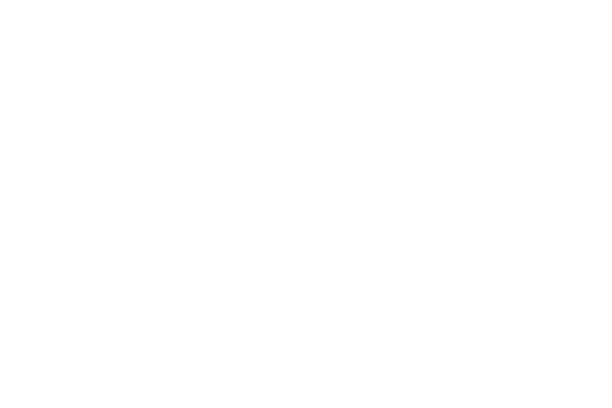 Logo – Third Bridge