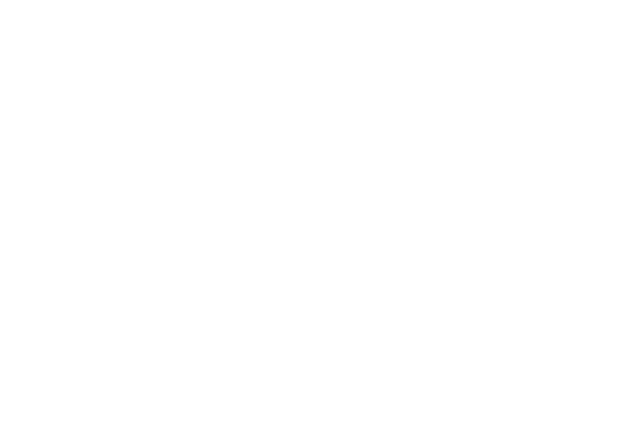 Logo Discovery