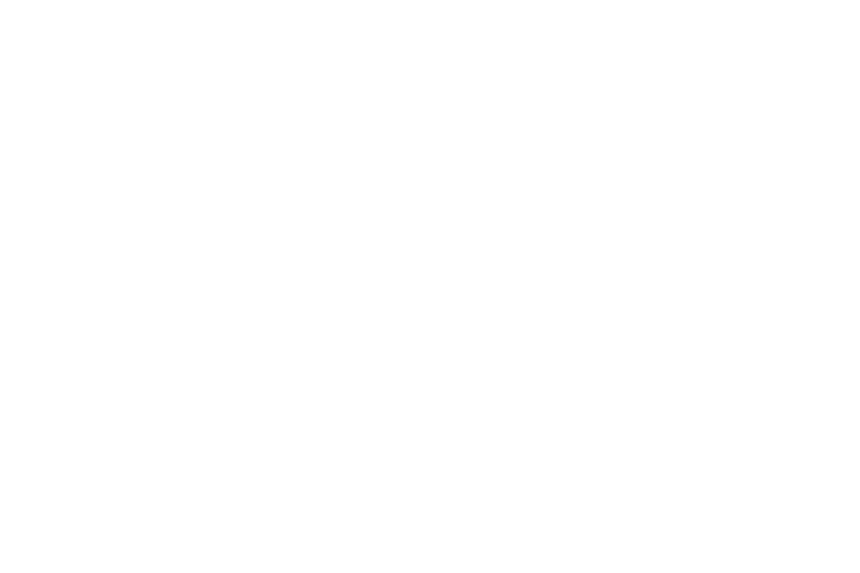 Logo Learning Waves