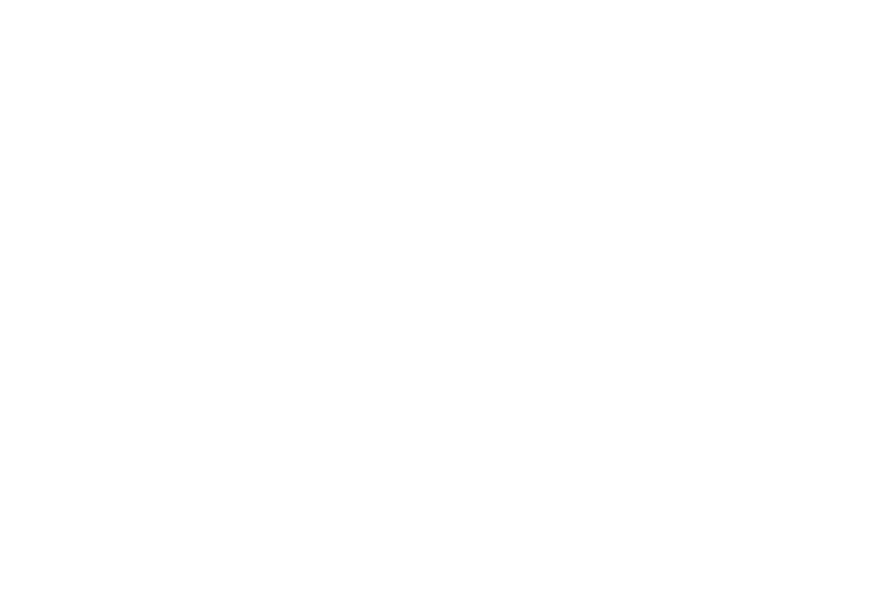 Logo – Skill Net